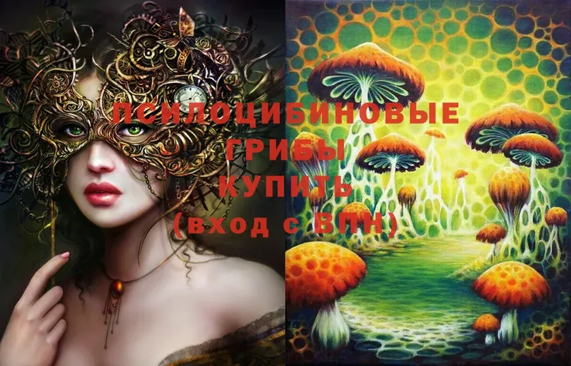 как найти закладки  blacksprut вход  Псилоцибиновые грибы Psilocybe  Нижняя Тура 